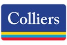 Colliers Poland Logo