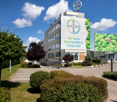 Bayer HQ