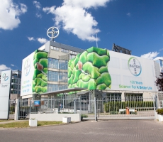 Bayer HQ