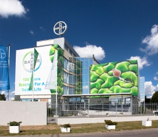 Bayer HQ