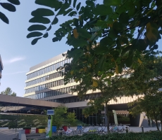 Park Rozwoju II