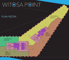 Witosa Point